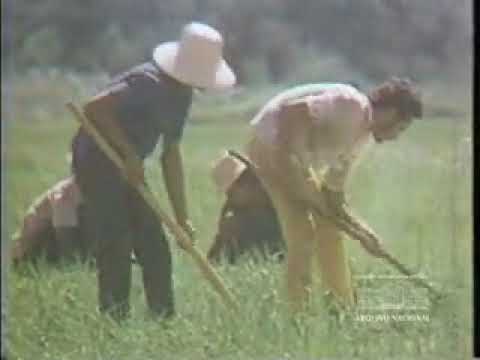 Um passeio pelas potencialidades do Piauí em 1974