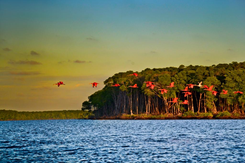 Roteiro litoral do piauí com delta do parnaíba