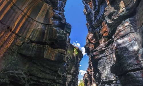 Captura de tela 2025-05-21 093509