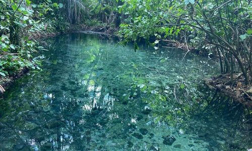 Olho-dagua-das-Frecheiras-Cocal-PI-Comprimida-3