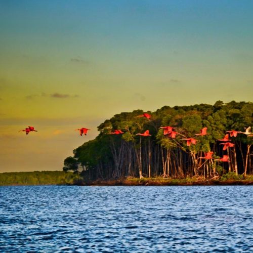 Roteiro litoral do piauí com delta do parnaíba