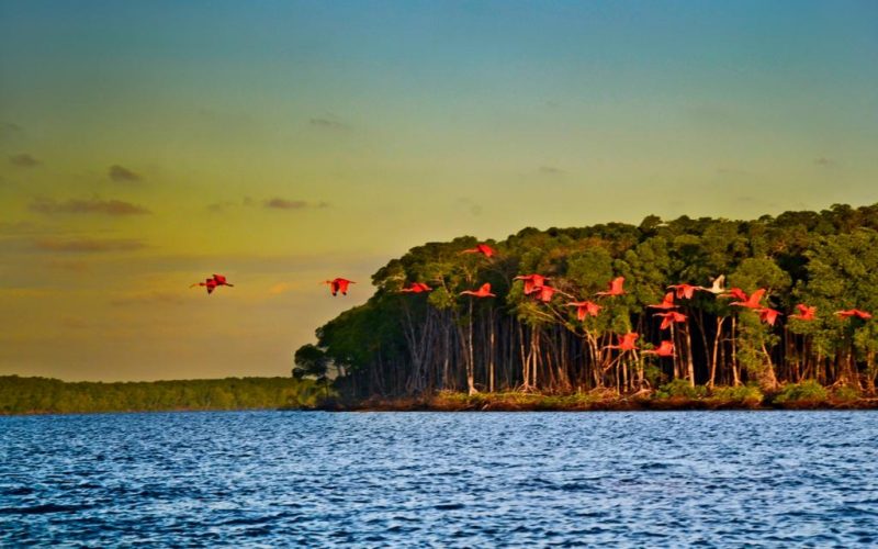 Roteiro litoral do piauí com delta do parnaíba