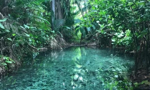 Sitio-Frecheiras-Olho-DAgua-da-Saude Sitio-Frecheiras-Olho-DAgua-da-Saude